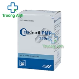 Cefadroxil PMP 250mg - Thuốc điều trị nhiễm khuẩn